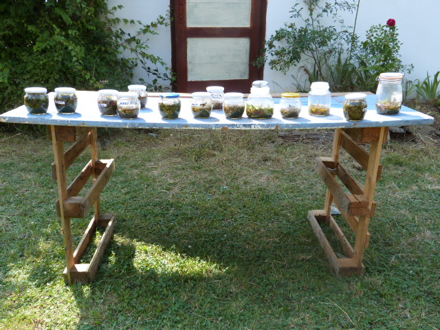 P1060476
